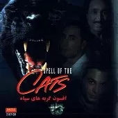 دانلود آهنگ شهبال شب پره با تو بودن