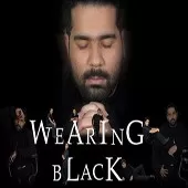 دانلود آهنگ رضا صادقی دیوانه زنجیری