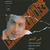 دانلود آهنگ امیر شاملو هم خونه