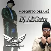 دانلود آهنگ دی جی علی گیتور mosquito