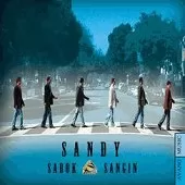 دانلود آهنگ گروه سندی تنهام گذاشتی دانلود آهنگ گروه سندی تنهام گذاشتی