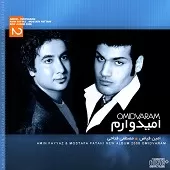 دانلود آهنگ امین فیاض غریبه