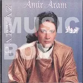 دانلود آهنگ امیر آرام خاک دانلود آهنگ امیر آرام خاک