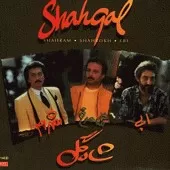 دانلود آهنگ شاهرخ کارم در اومد دانلود آهنگ شاهرخ کارم در اومد