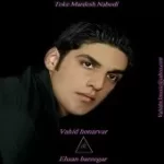 دانلود آهنگ گروه وحید هنرور و احسان برزگر شاخ نشو دانلود آهنگ گروه وحید هنرور و احسان برزگر شاخ نشو