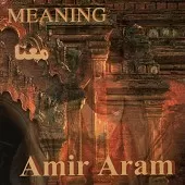 دانلود آهنگ امیر آرام تو را تنها نمی ذارم دانلود آهنگ امیر آرام تو را تنها نمی ذارم