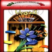 دانلود آهنگ جمشید نجفی گلدی بابا