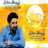 دانلود آهنگ سعید خوانساری دل مجنون