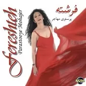 دانلود آهنگ پرستوی مهاجر | متن و کیفیت عالی دانلود آهنگ پرستوی مهاجر | متن و کیفیت عالی