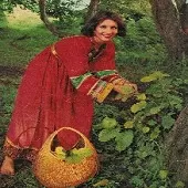 دانلود آهنگ نسرين گلی دانلود آهنگ نسرين گلی