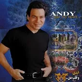 دانلود آهنگ اندی You’re the reason