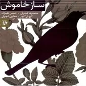 دانلود آهنگ محمدرضا شجریان ساز و آواز دشتستانی دانلود آهنگ محمدرضا شجریان ساز و آواز دشتستانی