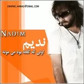 دانلود آهنگ ندیم دیگه رفتم دانلود آهنگ ندیم دیگه رفتم