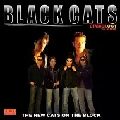 دانلود آهنگ گروه بلک کتس ای داد دانلود آهنگ گروه بلک کتس ای داد