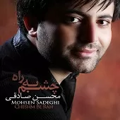 دانلود آهنگ محسن صادقی منو نمیخواد دانلود آهنگ محسن صادقی منو نمیخواد