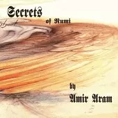 دانلود آهنگ امیر آرام چه دانستم دانلود آهنگ امیر آرام چه دانستم