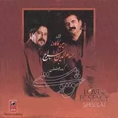 دانلود آهنگ حسام الدین سراج تیغ دلدار