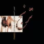 دانلود آهنگ محسن نامجو واوا لیلی دانلود آهنگ محسن نامجو واوا لیلی