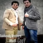 دانلود آهنگ گروه برادران نخاولی داری میری