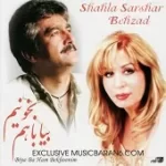 دانلود آهنگ بهزاد مسافر