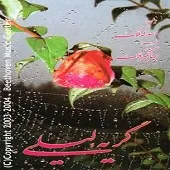 دانلود آهنگ اسدالله ملک بیات ترک