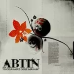 دانلود آهنگ آبتين بی تو