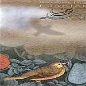 دانلود آهنگ محمد اصفهانی شکوه دانلود آهنگ محمد اصفهانی شکوه