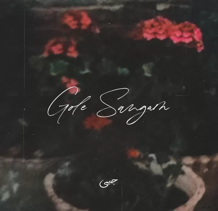 دانلود ریمیکس گل سنگم دیجی حمید خارجی و داریوش مالمیر هایده و مهستی دانلود ریمیکس گل سنگم دیجی حمید خارجی و داریوش مالمیر هایده و مهستی