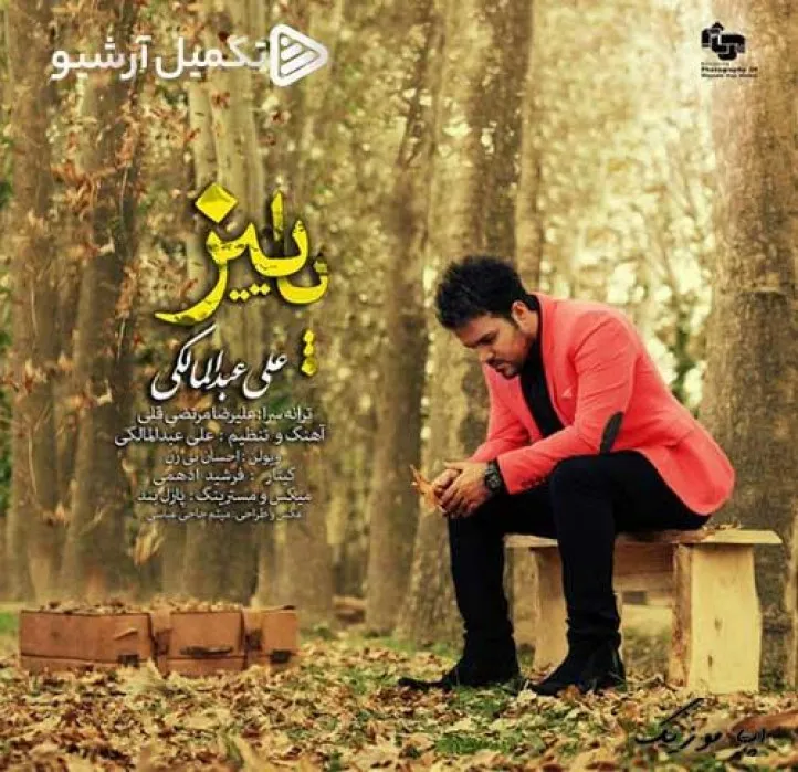 دانلود آهنگ پاییز یعنی خش خش برگا آروم تو گوش من میگه نیستی علی عبدالمالکی ریمیکس ترند اینستاگرام