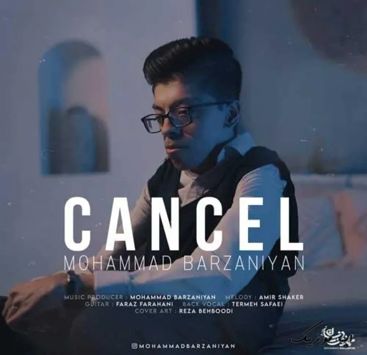 دانلود آهنگ دادم منه دیوونه محمد برزنیان ریمیکس تند ترند اینستا