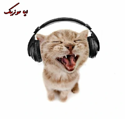 دانلود آهنگ محلی مادر شاد و غمگین ۱۴۰۳زیباترین آهنگ محلی مادر دانلود آهنگ محلی مادر شاد و غمگین ۱۴۰۳زیباترین آهنگ محلی مادر