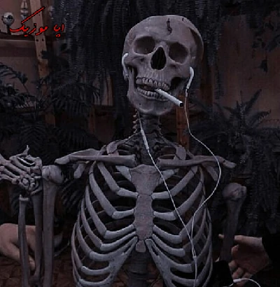 دانلود آهنگ جدید گرشا رضایی جالبه ( منو دنبال خودت کشوندی جالبه خودت نموندی ) دانلود آهنگ جدید گرشا رضایی جالبه ( منو دنبال خودت کشوندی جالبه خودت نموندی )