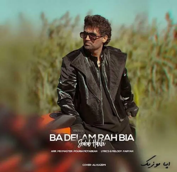 دانلود آهنگ این دیونه گیرته شهاب حبیبی ریمیکس تند ترند اینستا