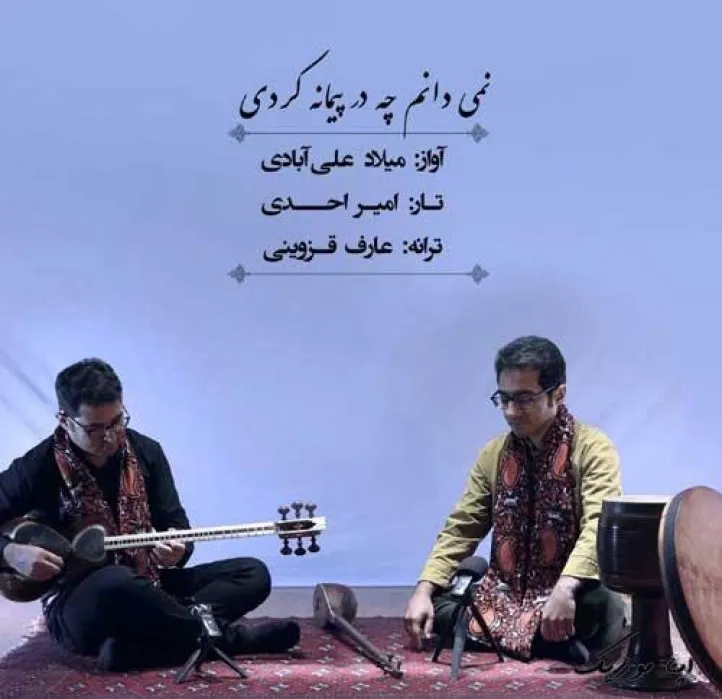 دانلود آهنگ حبیب من دیوانه کردی میلاد علی آبادی ریمیکس بیس دار تند شاد