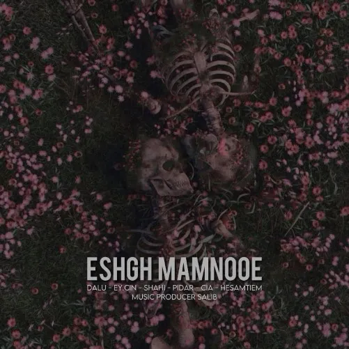 دانلود ریمیکس رپ ایسین و دلو و سیا و حسام تی ام و سجاد شاهی و پیدار بنام عشق ممنوعه