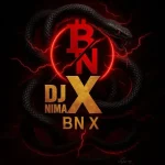 دانلود ریمیکس امیر تتلو و رضا پیشرو و حصین و بیگ شگی بی ان ایکس Bn X · دیجی نیما ایکس و دیجی توکان