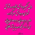 دانلود  اهنگ پاشنه طلا دلم به هر صدایی با صدای زن